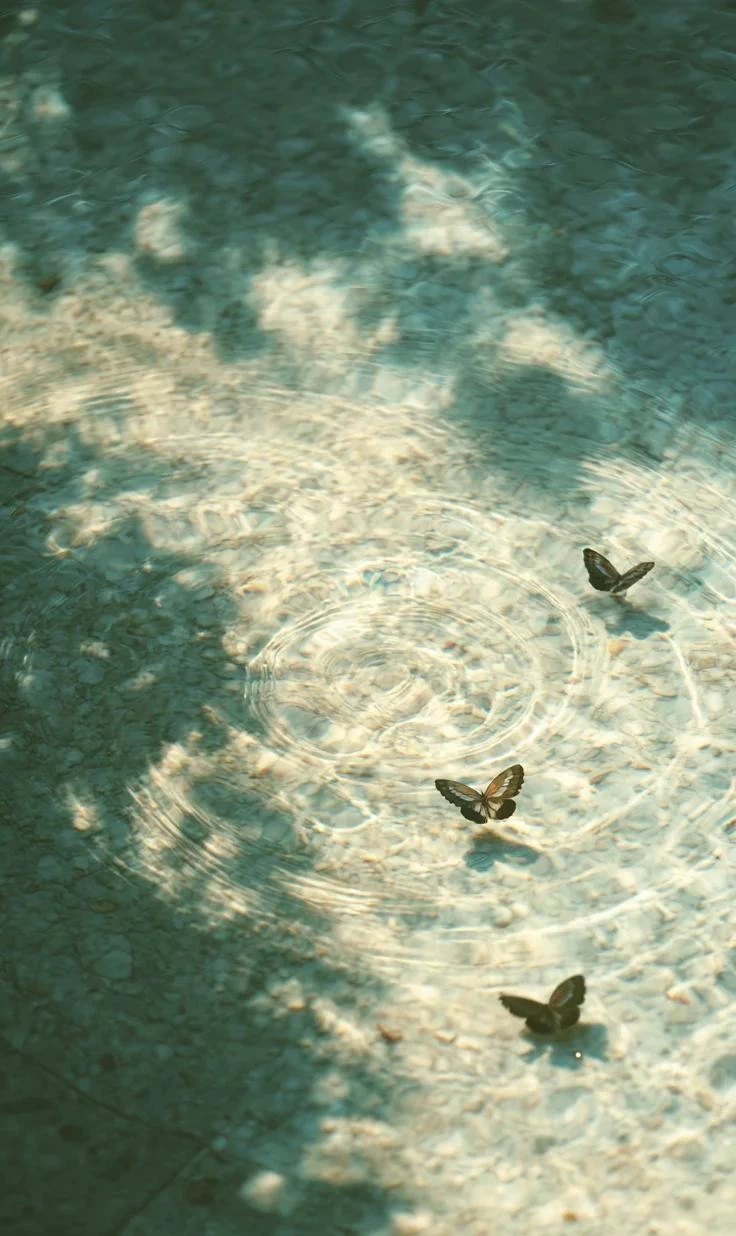 Swimmers in clear water